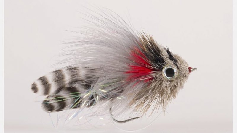 white, black and red fly lure